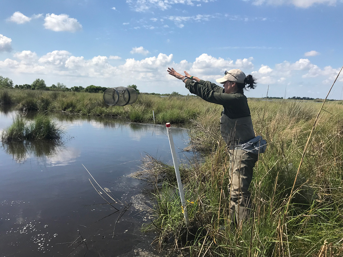 A woman throws a wire cage into a pond surrounded by grass.