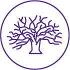 A purple outline of a tree with bare branches inside a circle on a white background.