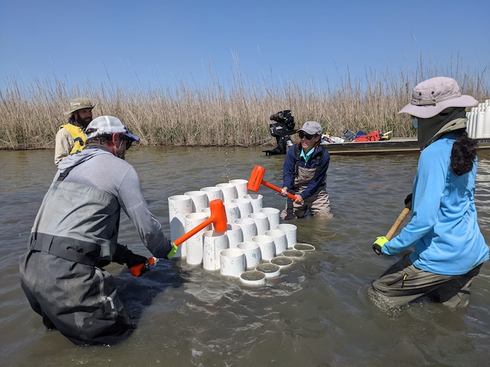 Researchers working in marsh