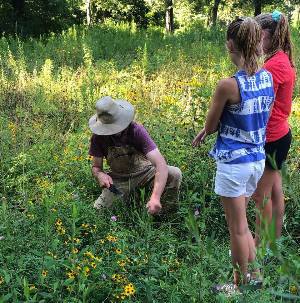 3 people studying plants in meadow