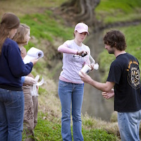 Environmental engineering students test ph levels.