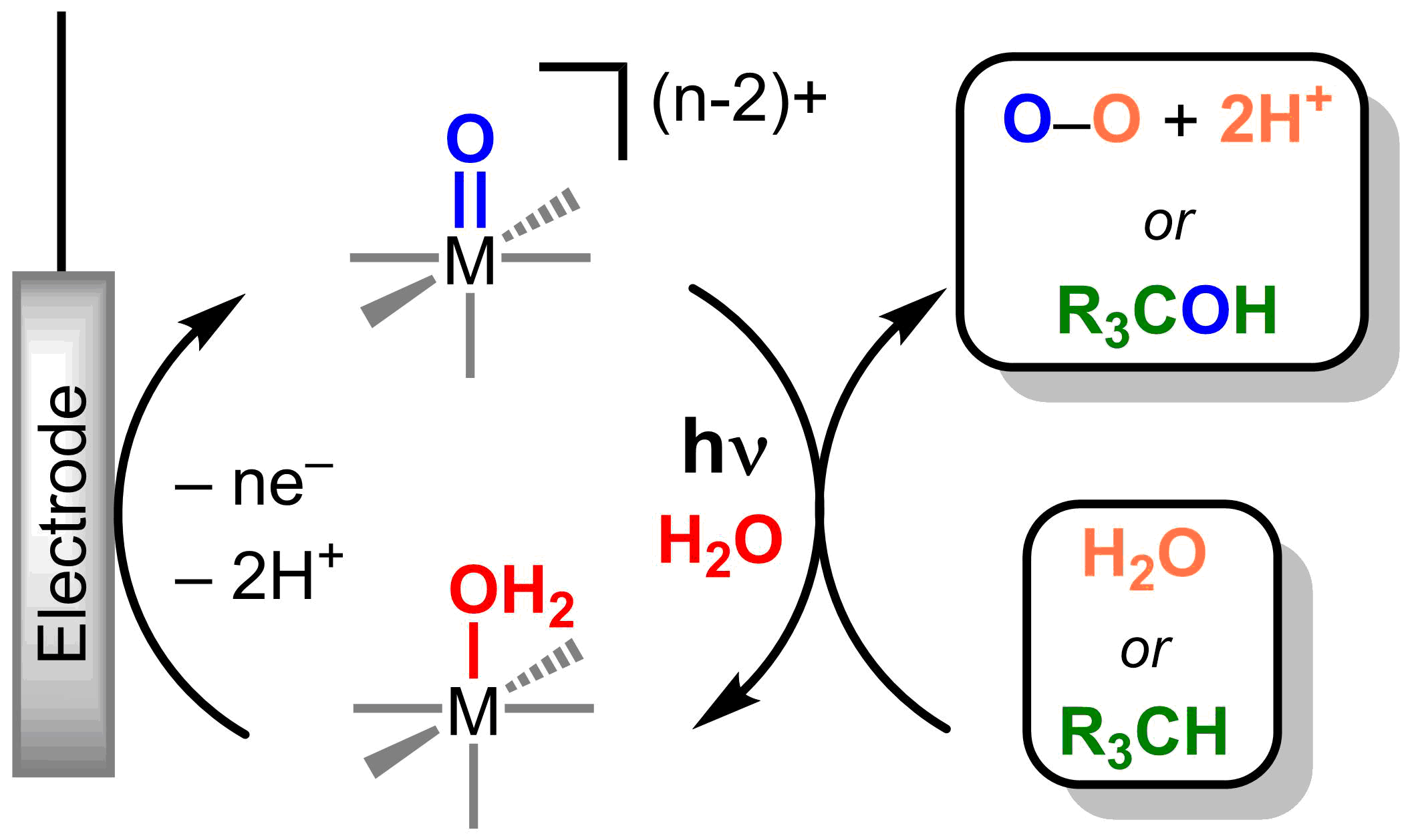 Photoelectrochemical catalytic cycle with metal oxos