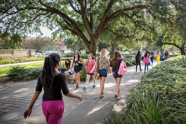 students walking under oak tree