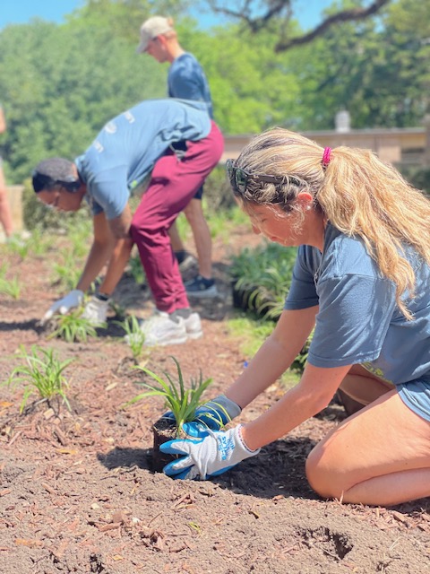 A girl planting 